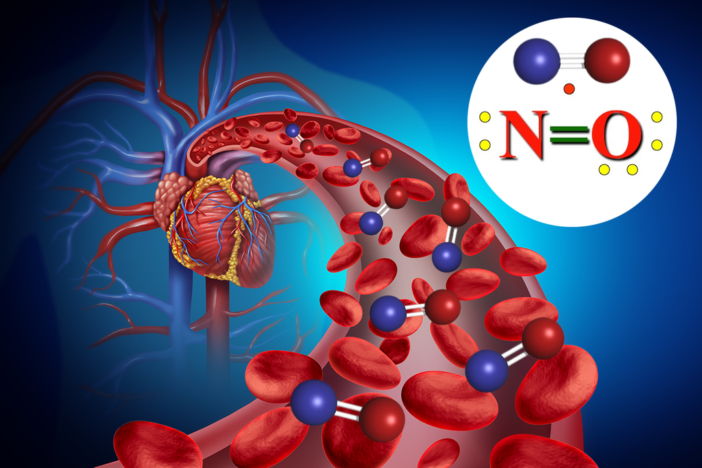 What is Nitric Oxide?